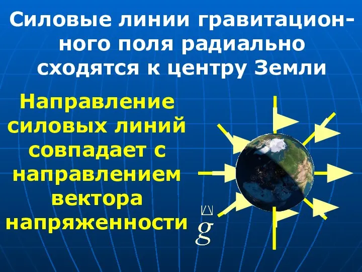 Силовые линии гравитацион-ного поля радиально сходятся к центру Земли Направление силовых