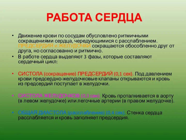 РАБОТА СЕРДЦА Движение крови по сосудам обусловлено ритмичными сокращениями сердца, чередующимися