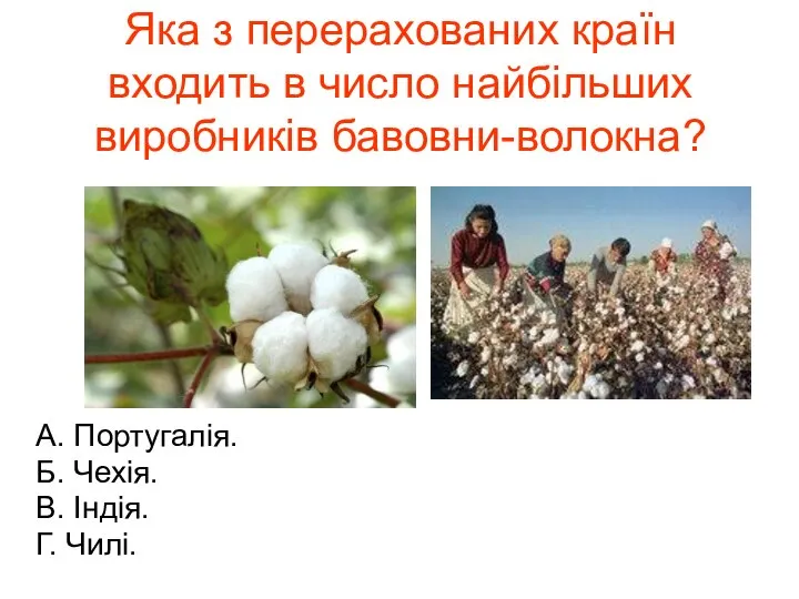 Яка з перерахованих країн входить в число найбільших виробників бавовни-волокна? А.