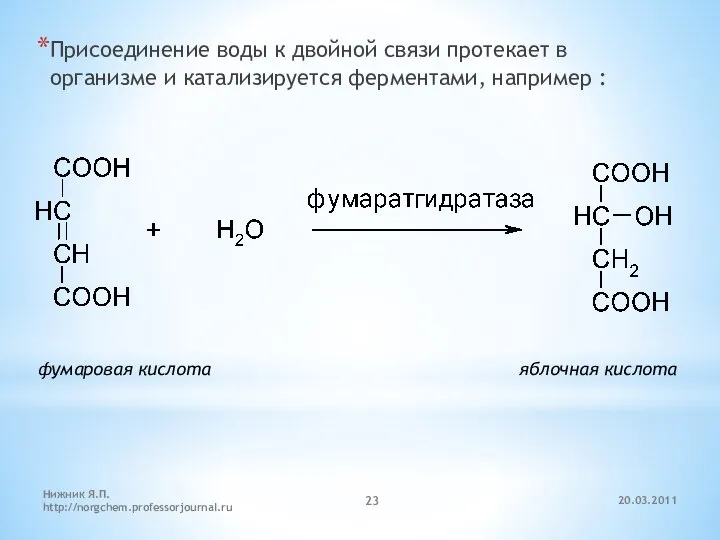 20.03.2011 Нижник Я.П. http://norgchem.professorjournal.ru Присоединение воды к двойной связи протекает в