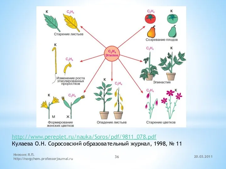 20.03.2011 Нижник Я.П. http://norgchem.professorjournal.ru http://www.pereplet.ru/nauka/Soros/pdf/9811_078.pdf Кулаева О.Н. Соросовский образовательный журнал, 1998, № 11