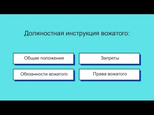 Должностная инструкция вожатого: Общие положения Обязанности вожатого Запреты Права вожатого