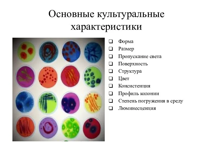 Основные культуральные характеристики Форма Размер Пропускание света Поверхность Структура Цвет Консистенция