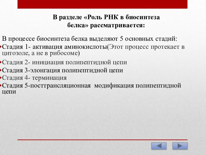 В разделе «Роль РНК в биосинтеза белка» рассматривается: В процессе биосинтеза