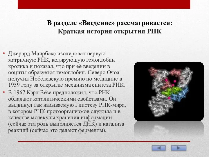 В разделе «Введение» рассматривается: Краткая история открытия РНК Джерард Маирбакс изолировал