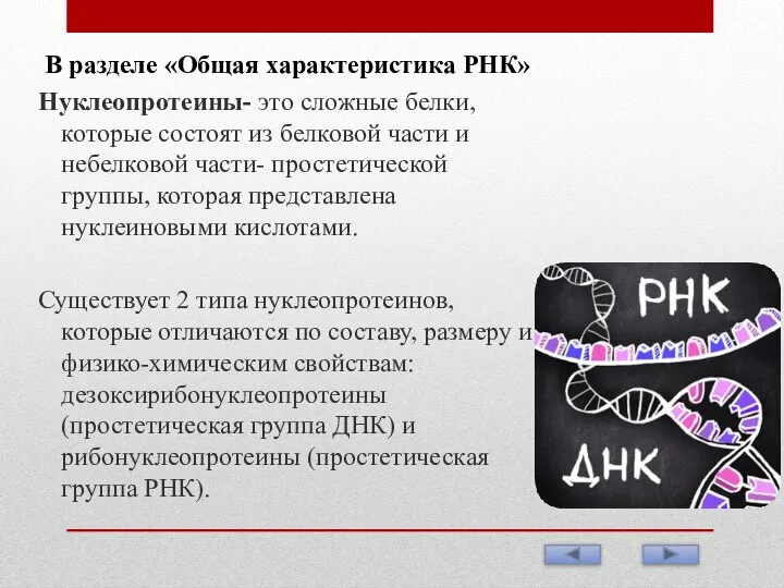 В разделе «Общая характеристика РНК» Нуклеопротеины- это сложные белки, которые состоят