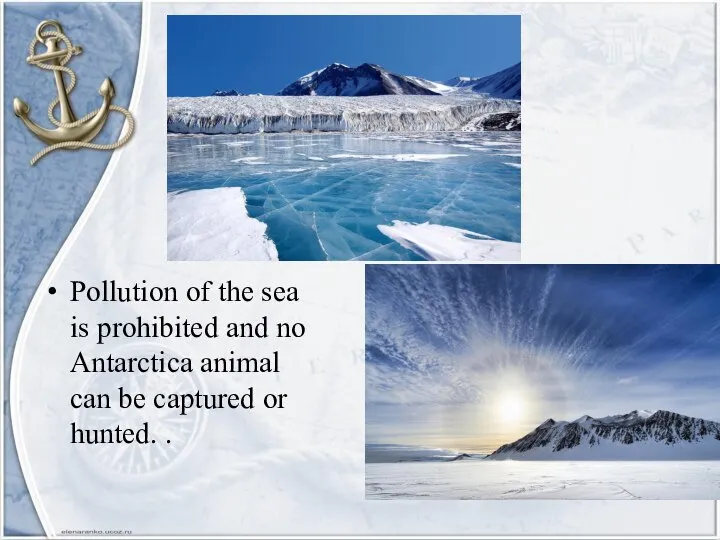 Pollution of the sea is prohibited and no Antarctica animal can be captured or hunted. .