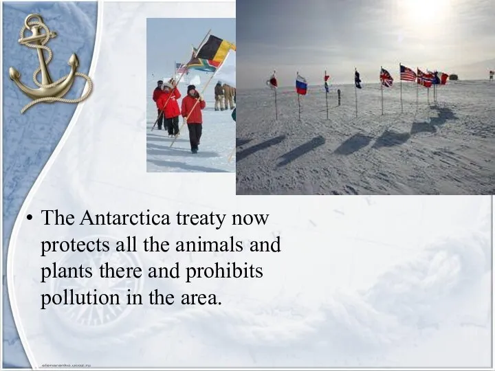 The Antarctica treaty now protects all the animals and plants there