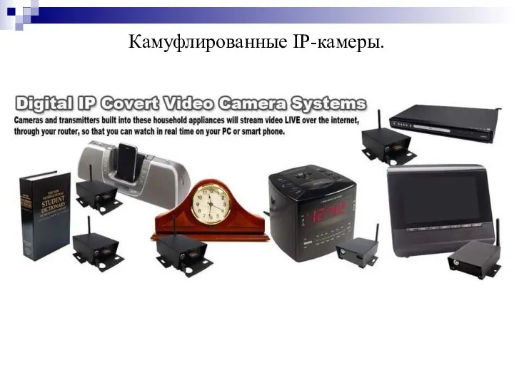 Камуфлированные IP-камеры.