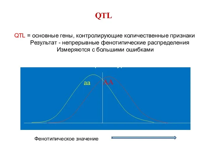 QTL QTL = основные гены, контролирующие количественные признаки Результат - непрерывные