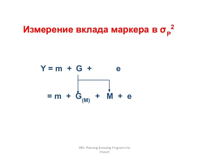 IRRI: Planning Breeding Programs for Impact Измерение вклада маркера в σP2