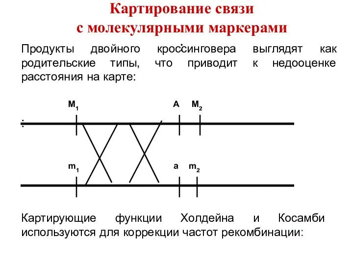 Продукты двойного кроссинговера выглядят как родительские типы, что приводит к недооценке