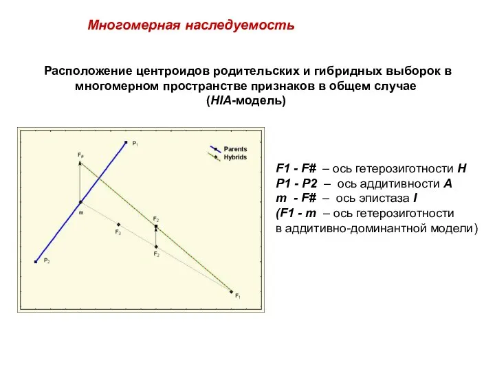 F1 - F# – ось гетерозиготности H P1 - P2 –