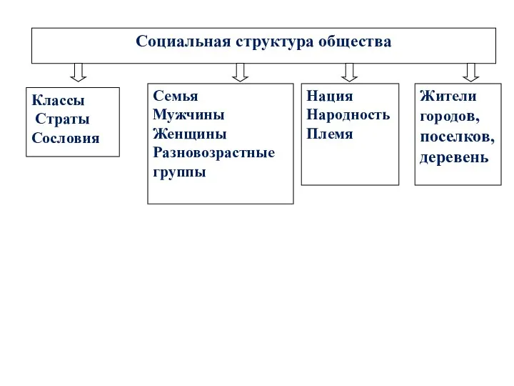 Социальная структура общества Классы Страты Сословия Нация Народность Племя Семья Мужчины