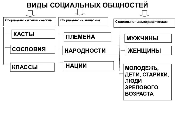 Социально -экономические ПЛЕМЕНА ЖЕНЩИНЫ МУЖЧИНЫ Социально -этнические Социально - демографические КАСТЫ