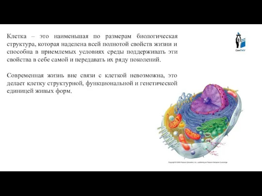 Клетка – это наименьшая по размерам биологическая структура, которая наделена всей