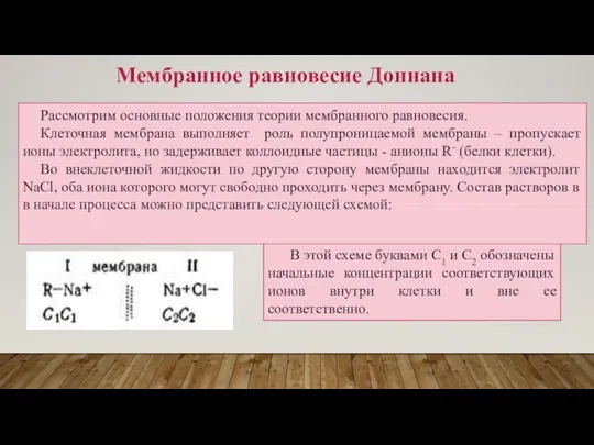 Мембранное равновесие Доннана Рассмотрим основные положения теории мембранного равновесия. Клеточная мембрана