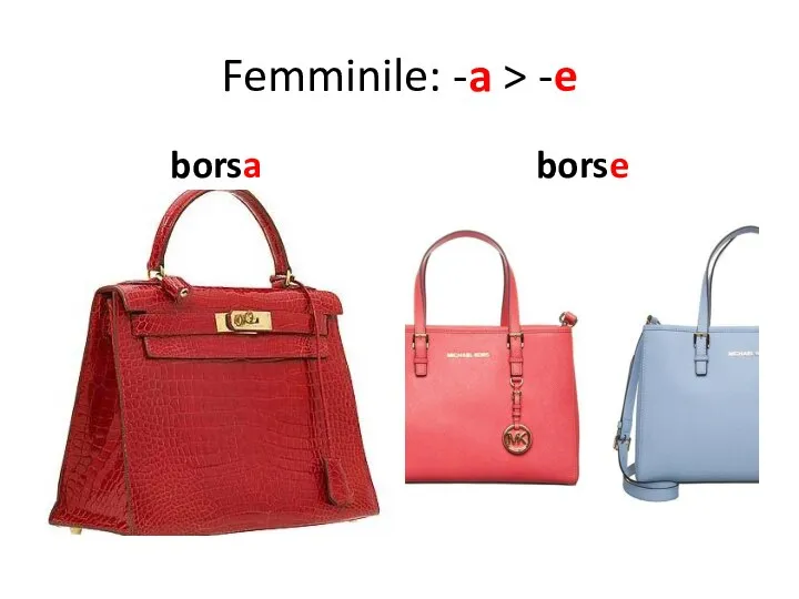 Femminile: -a > -e borsa borse