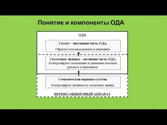 Понятие и компоненты ОДА