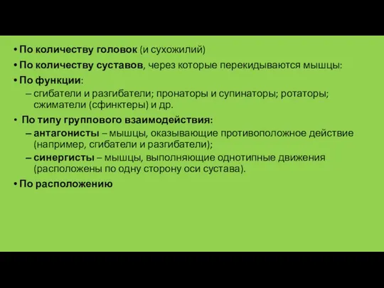 По количеству головок (и сухожилий) По количеству суставов, через которые перекидываются