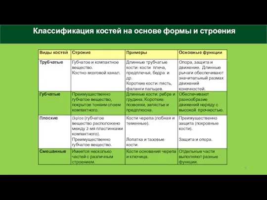 Классификация костей на основе формы и строения