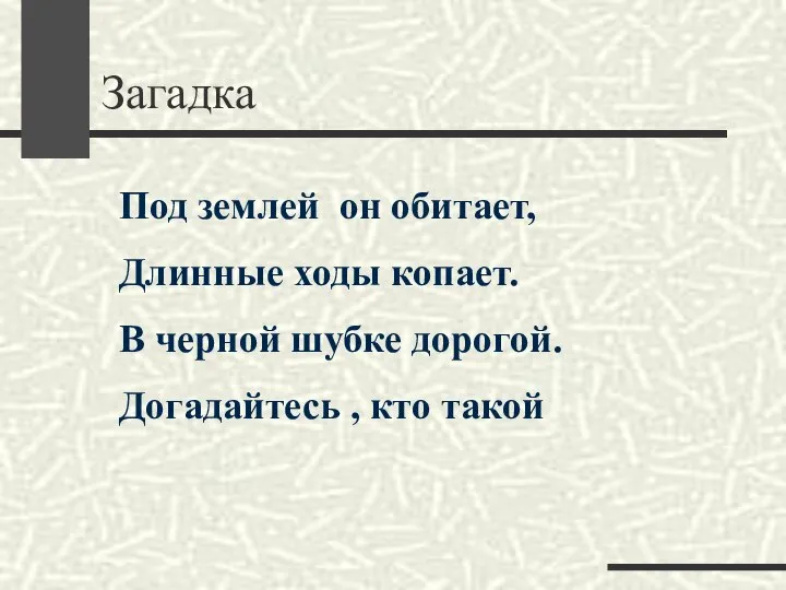 Загадка Под землей он обитает, Длинные ходы копает. В черной шубке дорогой. Догадайтесь , кто такой