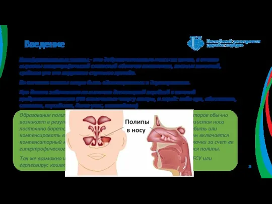 Рисунок 1 https://gorlouhonos.ru/wp-content/uploads/2017/01/polip-v-nos.jpg Введение Назофарингеальные полипы – это доброкачественные массы на