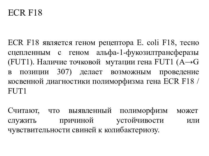 ECR F18 ECR F18 является геном рецептора E. coli F18, тесно