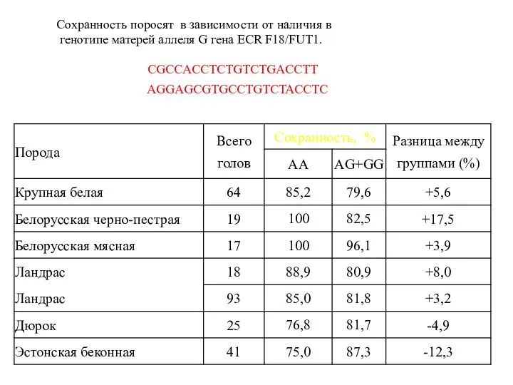 СGCCACCTCTGTCTGACCTT AGGAGCGTGCCTGTCTACCTC Сохранность поросят в зависимости от наличия в генотипе матерей аллеля G гена ECR F18/FUT1.