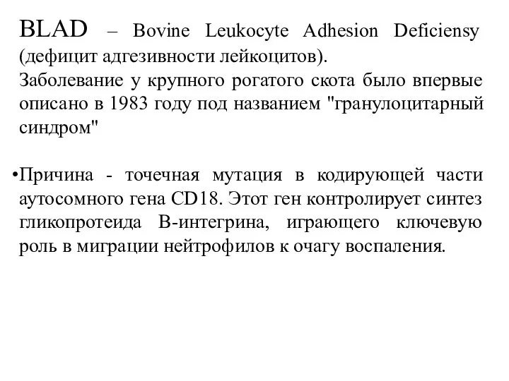 BLAD – Bovine Leukocyte Adhesion Deficiensy (дефицит адгезивности лейкоцитов). Заболевание у