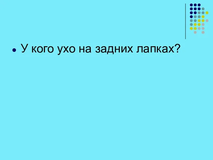 У кого ухо на задних лапках?