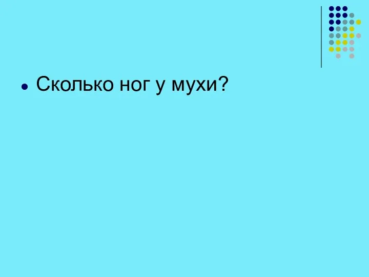 Сколько ног у мухи?