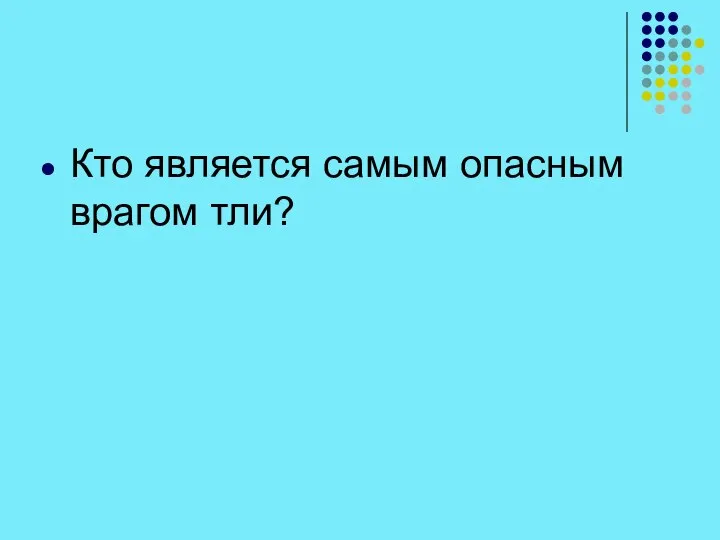 Кто является самым опасным врагом тли?