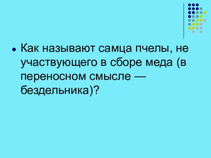 Как называют самца пчелы, не участвующего в сборе меда (в переносном смысле — бездельника)?