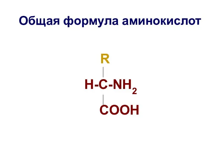 Общая формула аминокислот R H-C-NH2 COOH