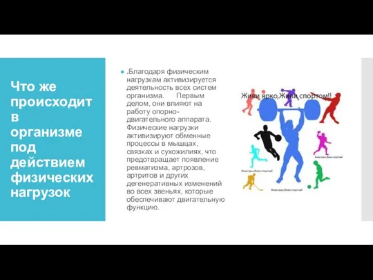 Что же происходит в организме под действием физических нагрузок .Благодаря физическим