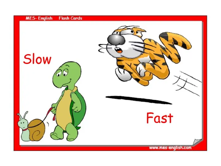 Slow Fast