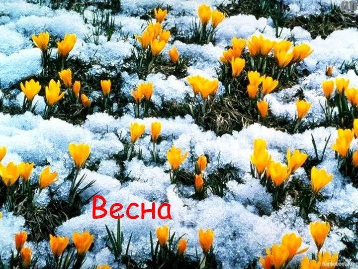 Весна