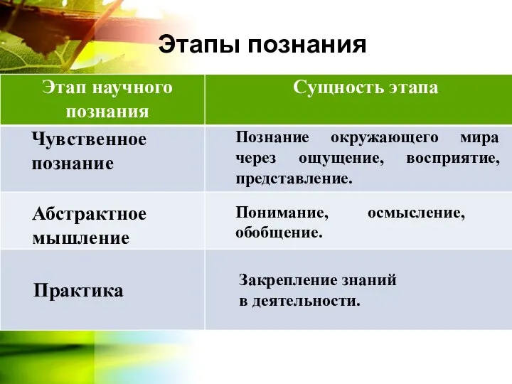 Этапы познания Понимание, осмысление, обобщение. Познание окружающего мира через ощущение, восприятие,