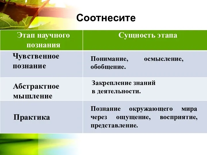 Соотнесите Понимание, осмысление, обобщение. Познание окружающего мира через ощущение, восприятие, представление.