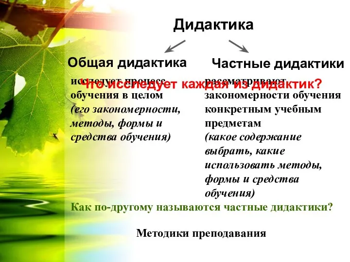 Дидактика Общая дидактика Частные дидактики исследует процесс обучения в целом (его