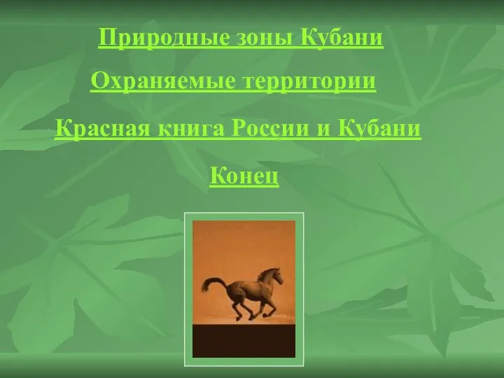 Природные зоны Кубани Охраняемые территории Красная книга России и Кубани Конец