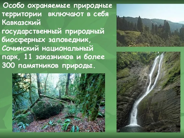 Особо охраняемые природные территории включают в себя Кавказский государственный природный биосферных