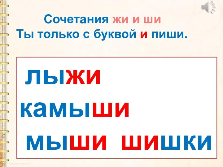 Сочетания жи и ши Ты только с буквой и пиши. лыжи камыши мыши шишки ежи