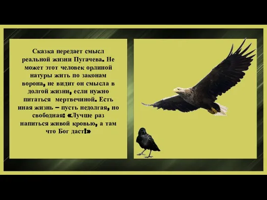 Сказка передает смысл реальной жизни Пугачева. Не может этот человек орлиной