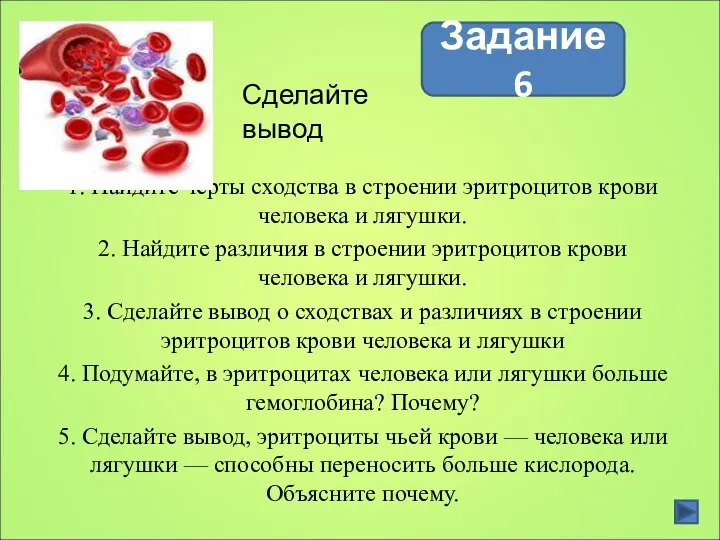 Сделайте вывод 1. Найдите черты сходства в строении эритроцитов крови человека