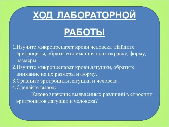 ХОД ЛАБОРАТОРНОЙ РАБОТЫ Изучите микропрепарат крови человека. Найдите эритроциты, обратите внимание