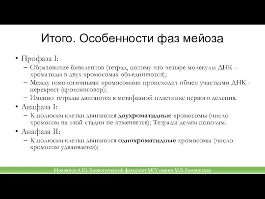 Итого. Особенности фаз мейоза Профаза I: Образование бивалентов (тетрад, потому что