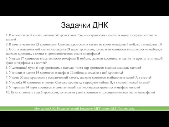 Задачки ДНК 1. В соматической клетке лисицы 34 хромосомы. Сколько хромосом