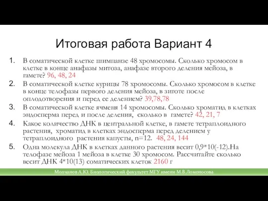 Итоговая работа Вариант 4 В соматической клетке шимпанзе 48 хромосомы. Сколько